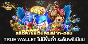 สล็อต789เว็บตรงฝาก-ถอน true wallet ไม่มีขั้นต่ํา ระดับพรีเมียม